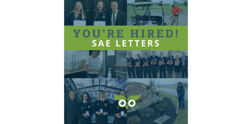 YOU’RE HIRED…SAE LETTERS