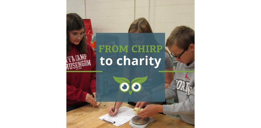 From chirp to charity