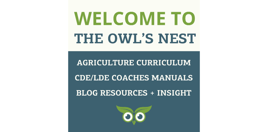 Welcome to the Owl’s Nest