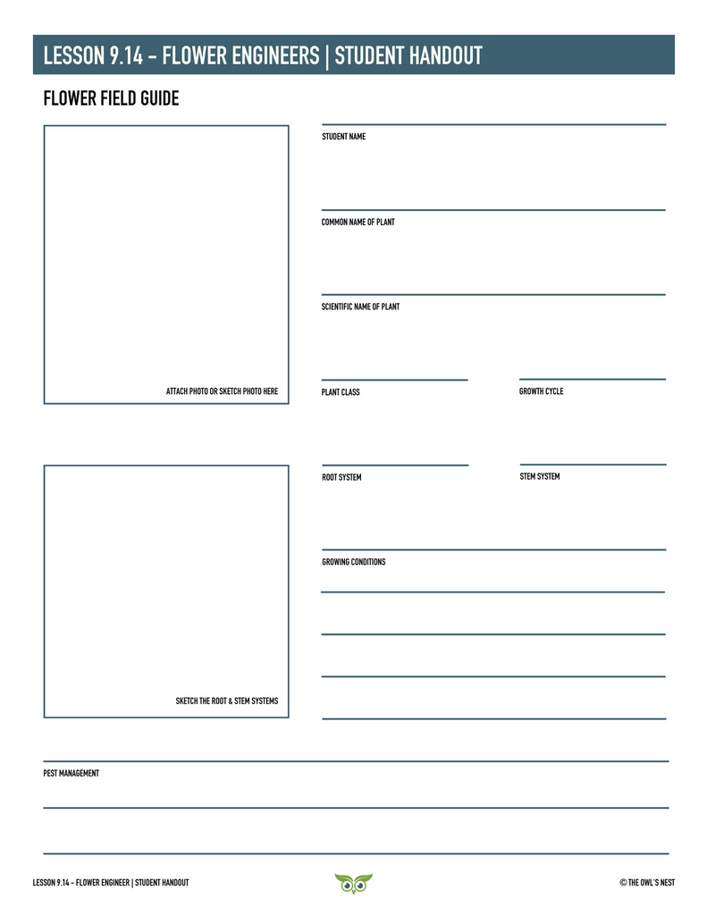 Plant science student handout example